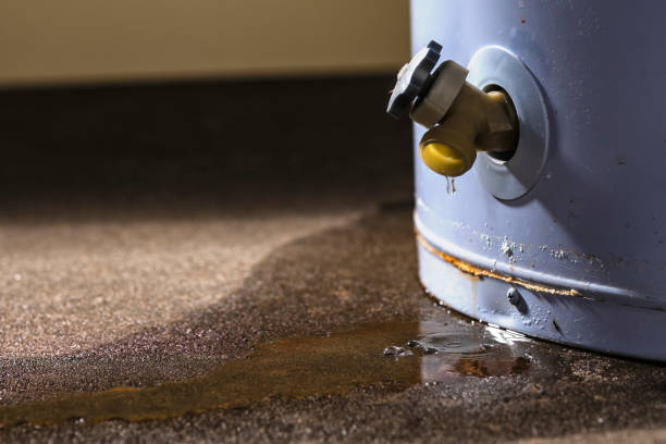 Best Flood restoration services  in Oronoque, CT