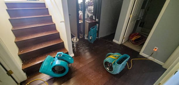 Best Water damage repair service  in Oronoque, CT