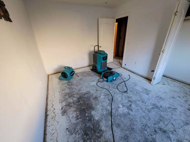 Best Basement water damage restoration  in Oronoque, CT