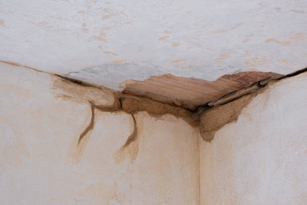  Oronoque, CT Water damage restoration Pros