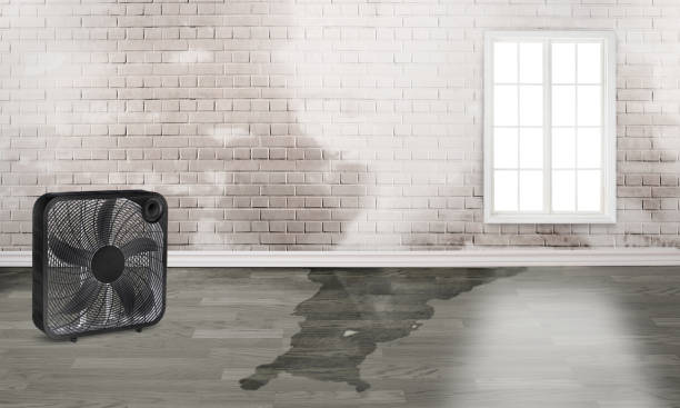 Best Water damage restoration near me  in Oronoque, CT