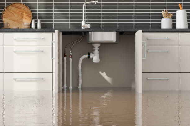 Best 24-hour water damage restoration  in Oronoque, CT