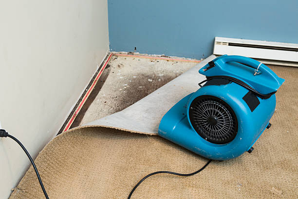 Trusted Oronoque, CT Water damage restoration Experts